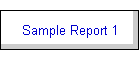 Sample Report 1