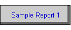Sample Report 1
