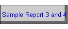 Sample Report 3 and 4