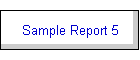 Sample Report 5