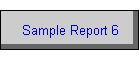 Sample Report 6